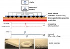 electrode array